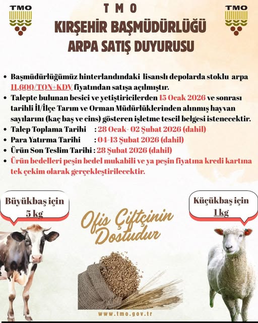 619417556 1587554499037978 8970753307698716961 N