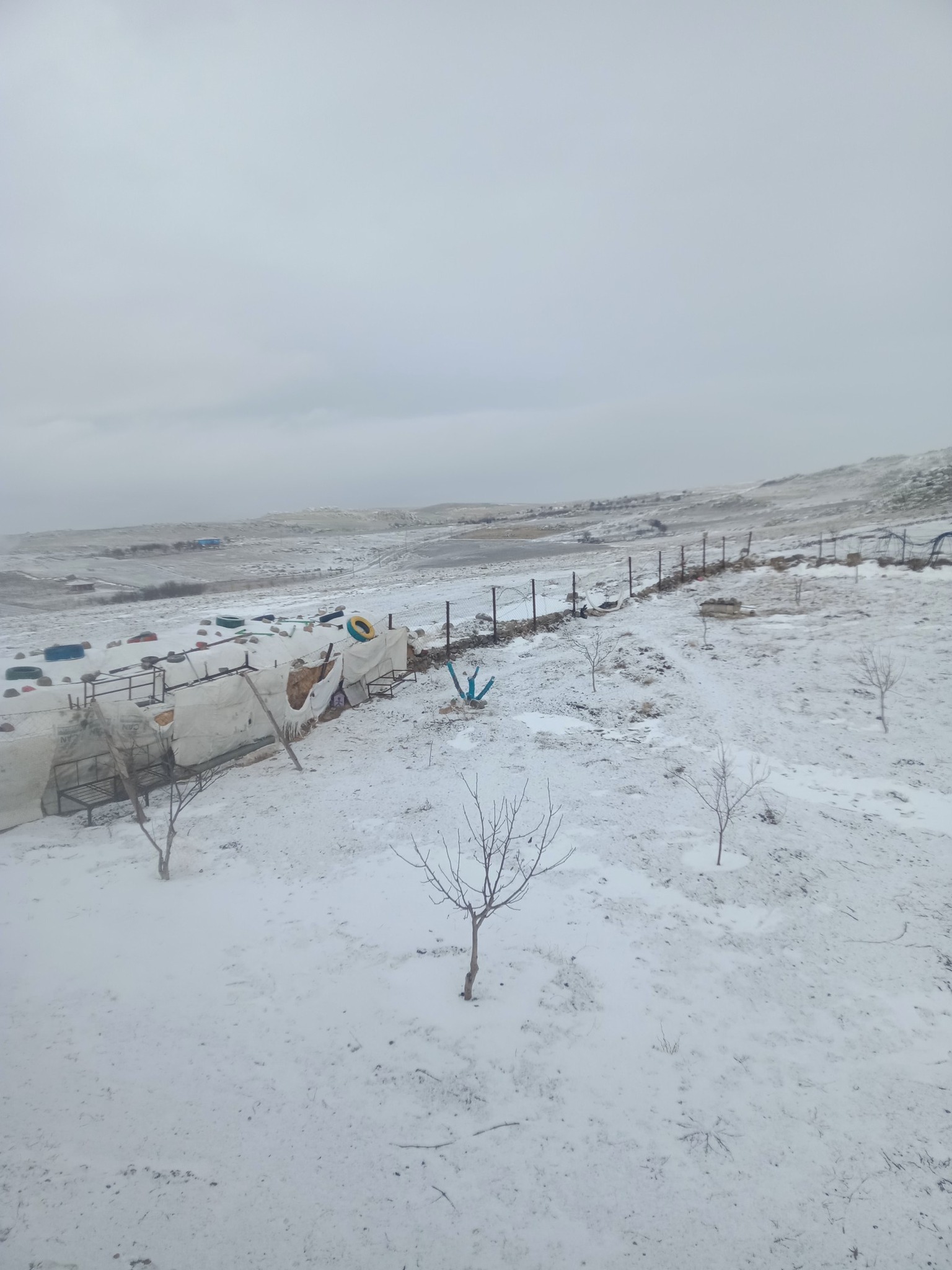 619506406 1447795783429672 8851257387693385506 N