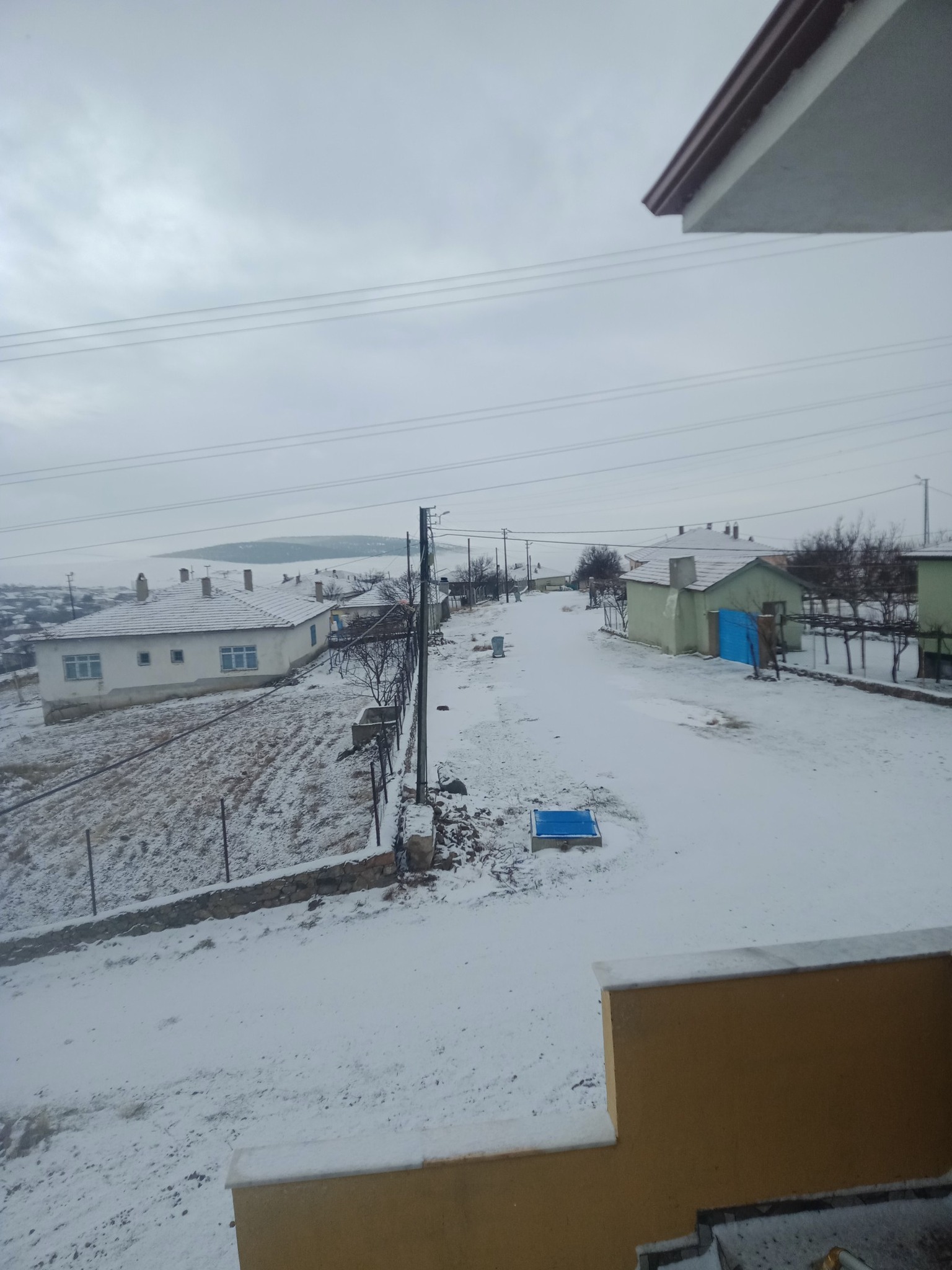 619593207 1447796163429634 424876525968376540 N