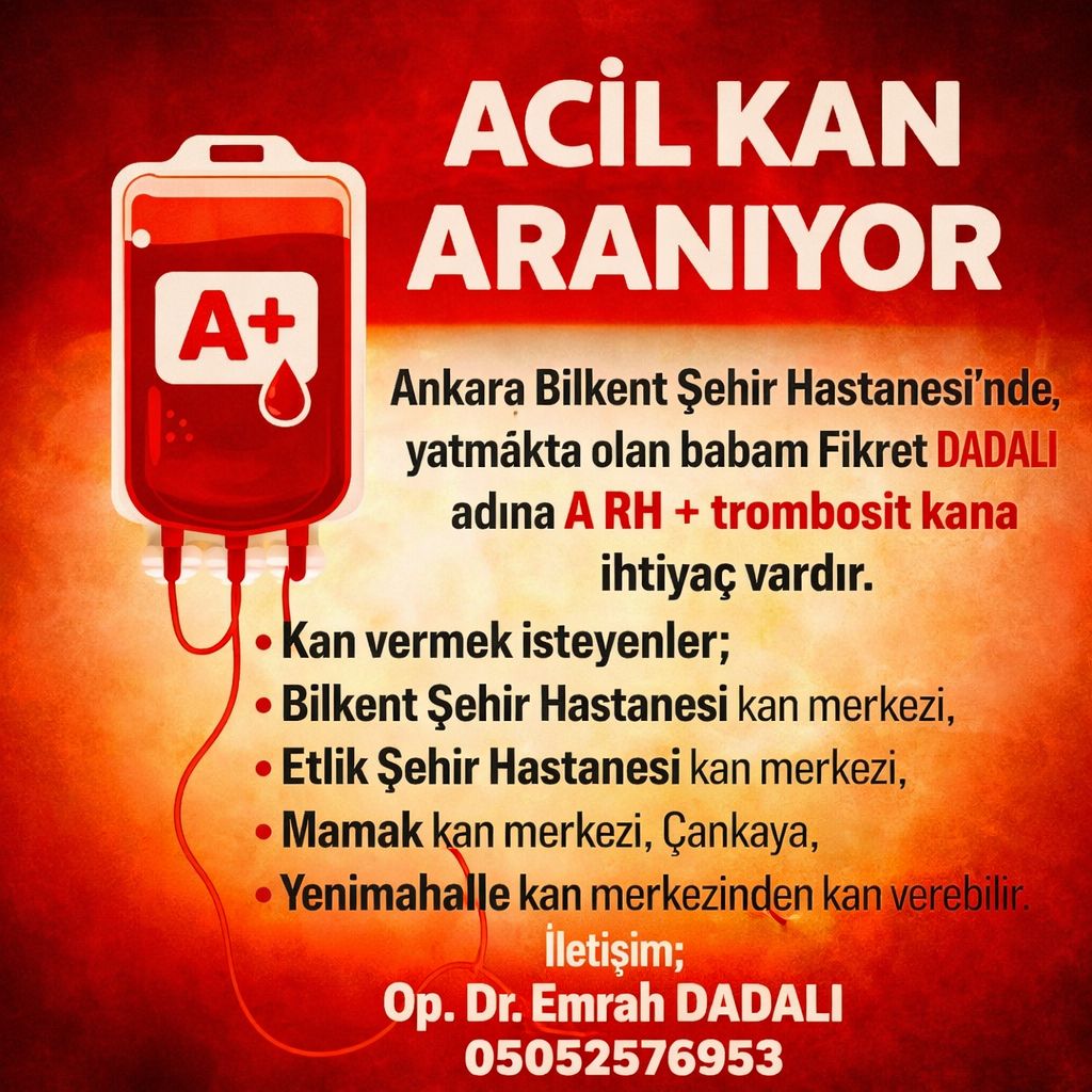 619913943 1587786665681428 757611080579049833 N