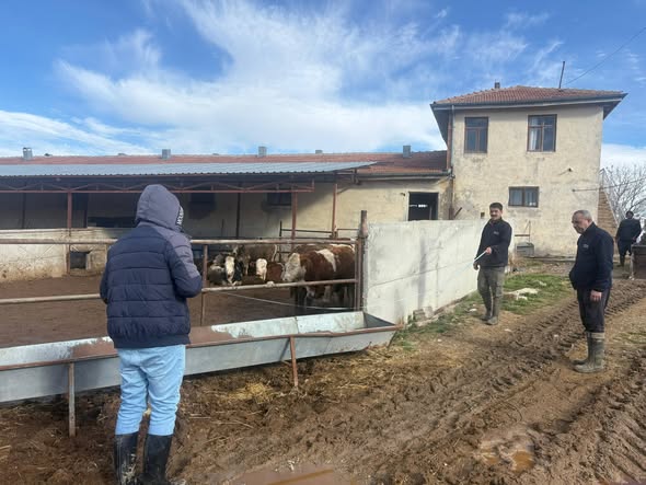 621944148 895998299571601 7706261358829811110 N