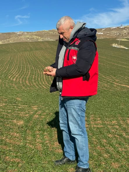 622126382 895998356238262 2759302620010783440 N