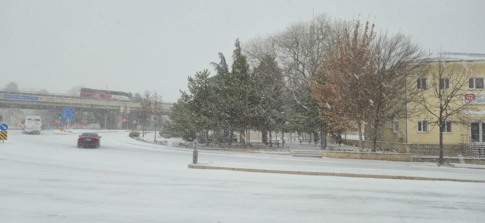 6D129C02 C2Fa 4Fa7 Addc D9A66Ea351C2