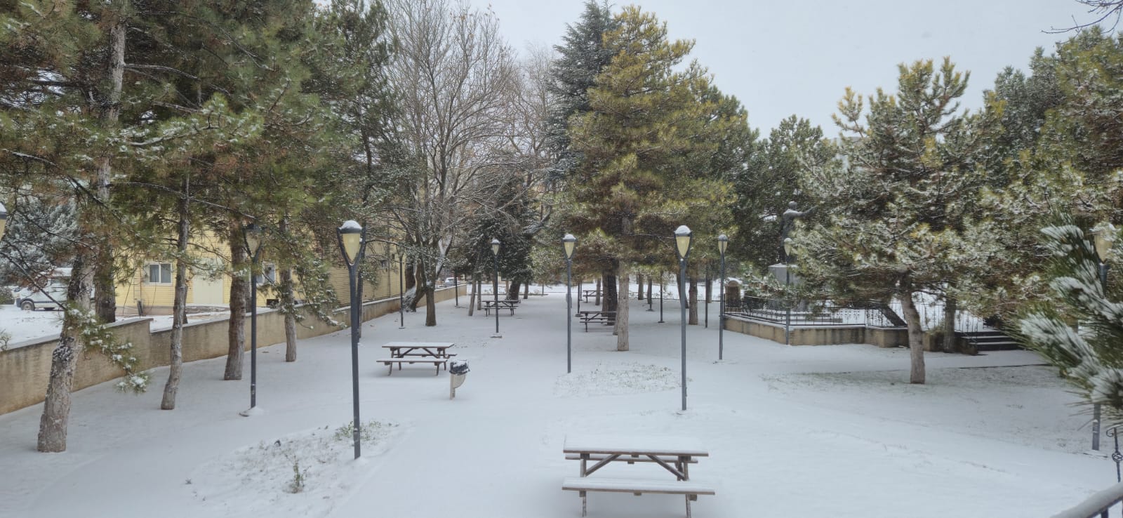 938C722B 141E 445F 8Ff0 Bb3Fda79D925