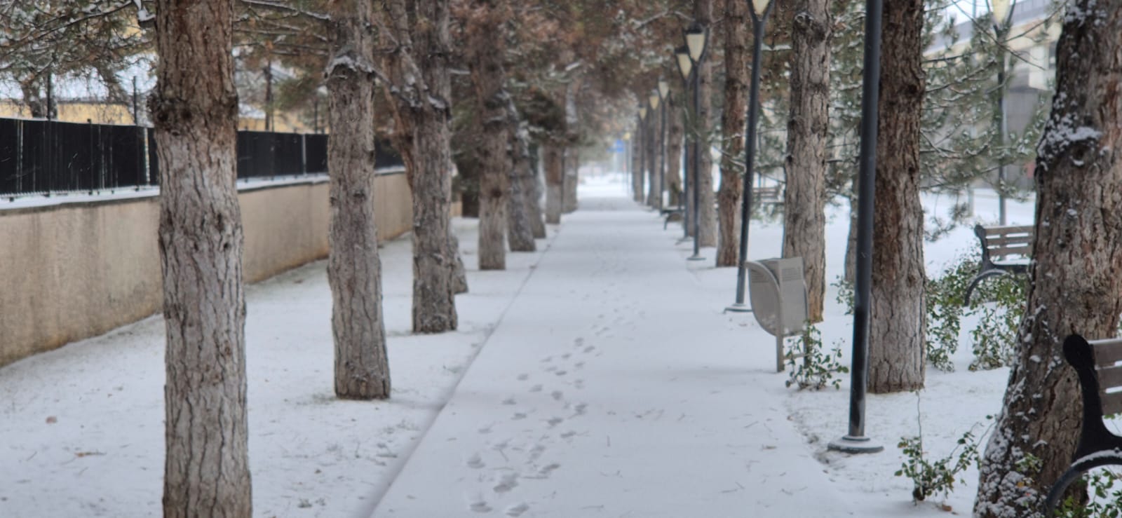 E6134C8B E498 416C 8Ef9 99Cec6Ad96C7