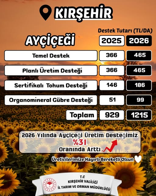Tarım Ayçiçek