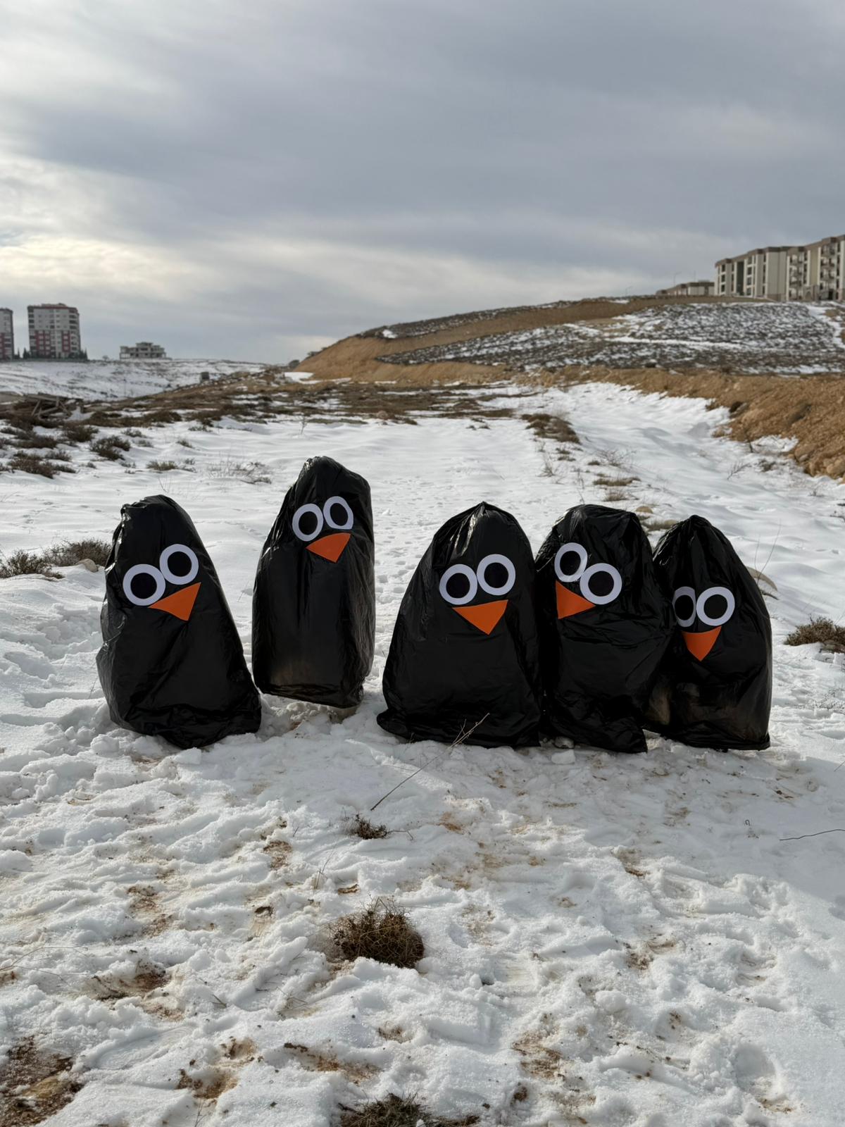 Whatsapp Image 2026 01 08 At 12.21.23