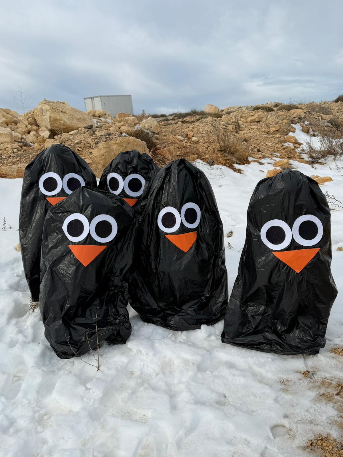 Whatsapp Image 2026 01 08 At 12.21.25 (1)