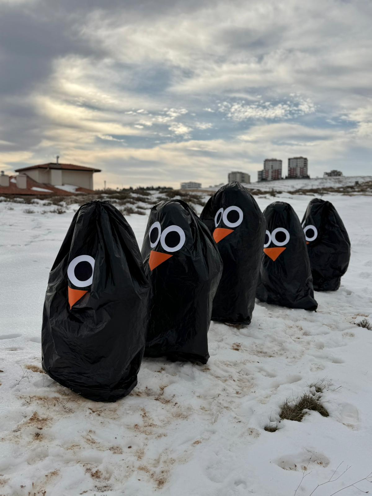 Whatsapp Image 2026 01 08 At 12.21.25