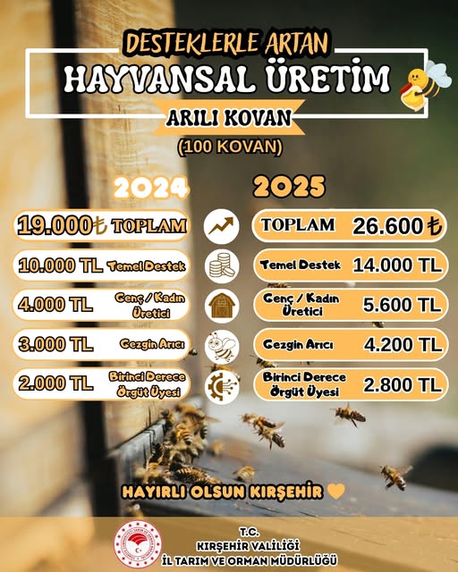 625175625 903362058835225 4003872208333575504 N