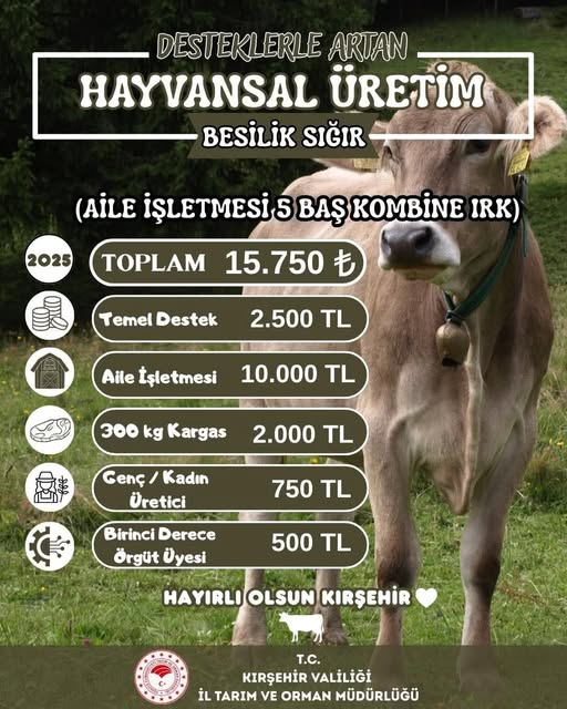 625980070 1715882133106916 3651606970969035150 N