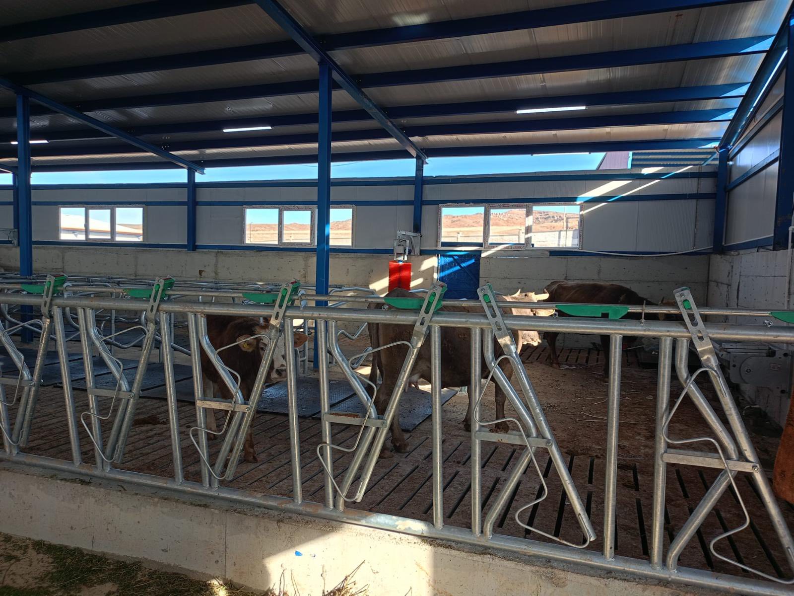 626158180 904136348757796 8241739354440308398 N