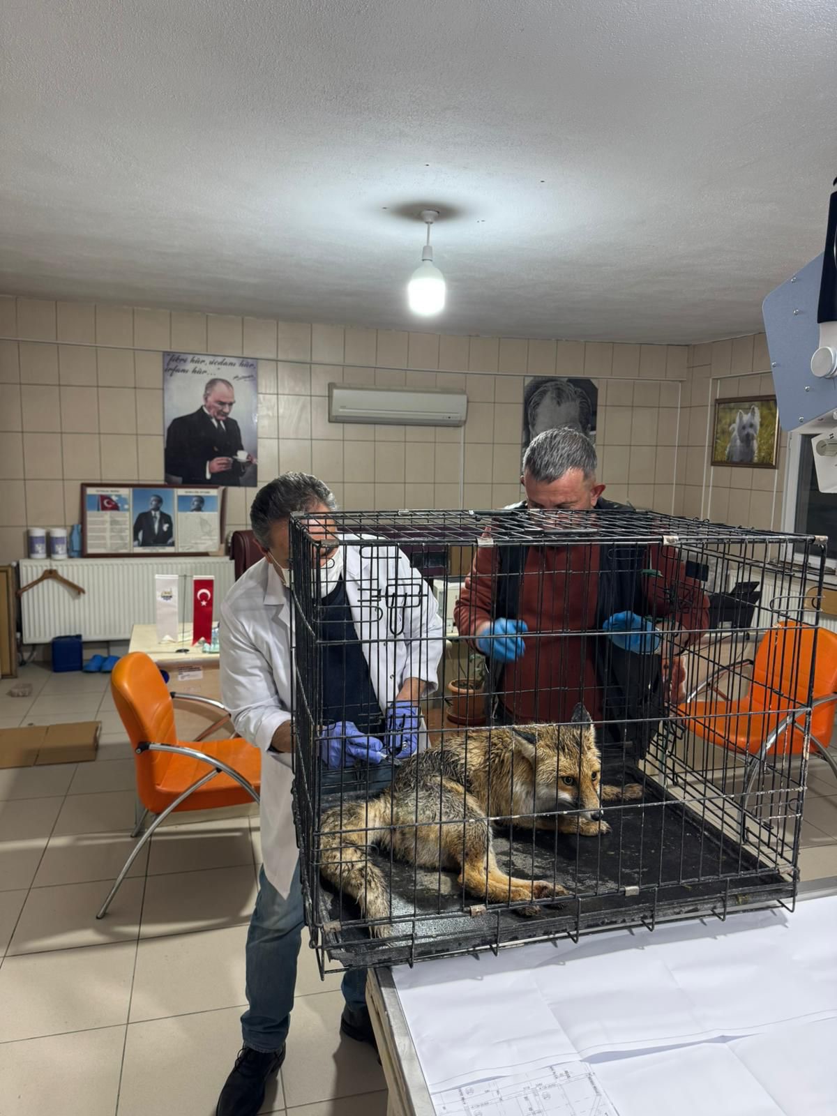 626265045 18559764742065290 7845088098724179969 N