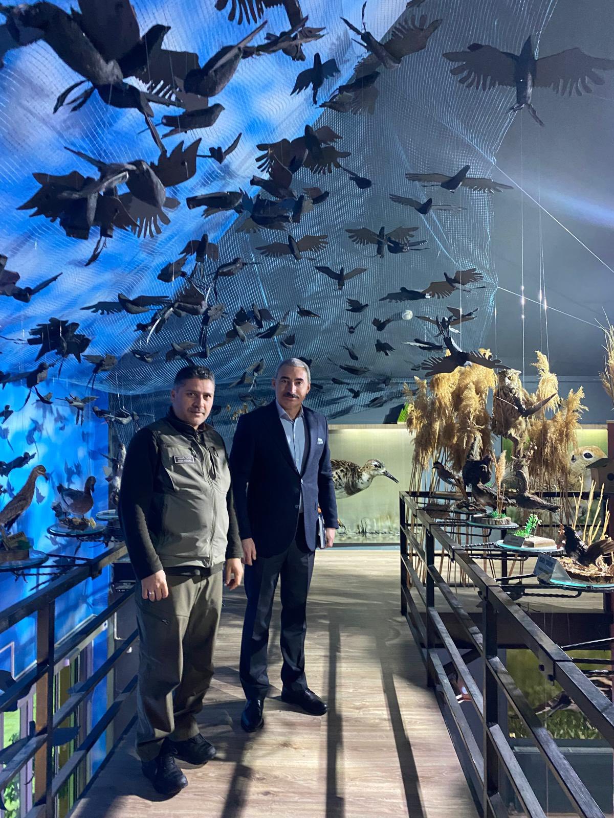 626530971 1208710964706124 6387138249550099371 N