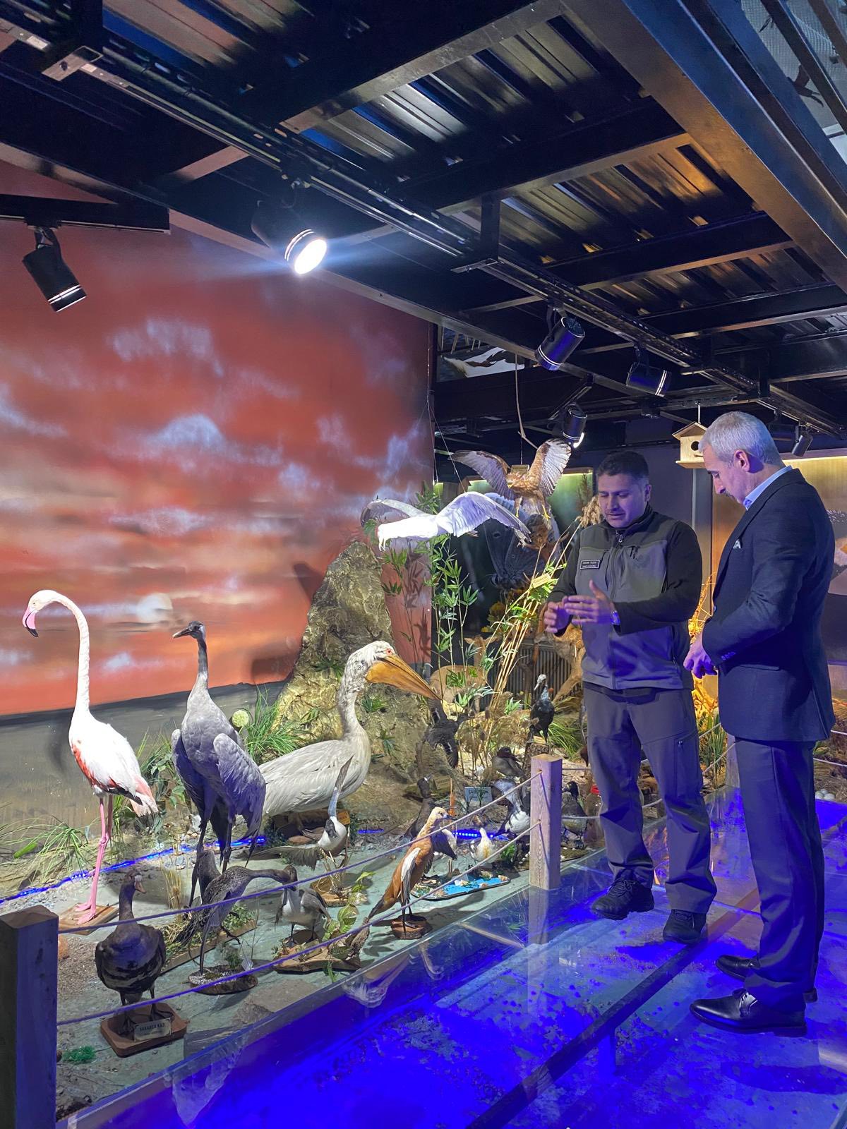 629279702 1208710901372797 3786506409930718605 N