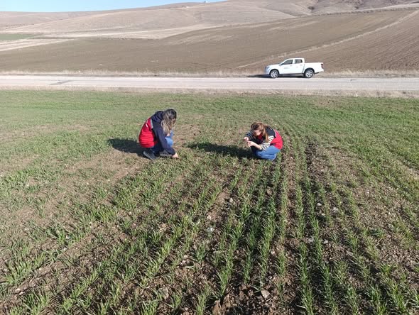 631215705 908563604981737 4526236547232615838 N Kopya