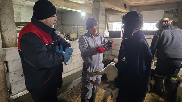 631509151 908563628315068 8476511709157251822 N Kopya