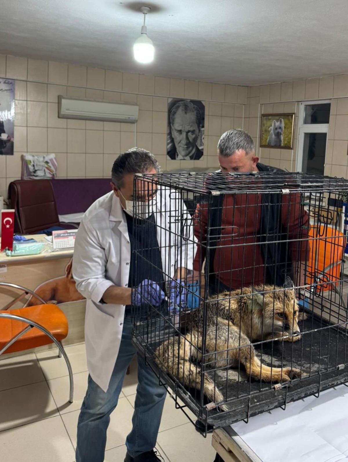 632398190 18559764745065290 60771125273889057 N