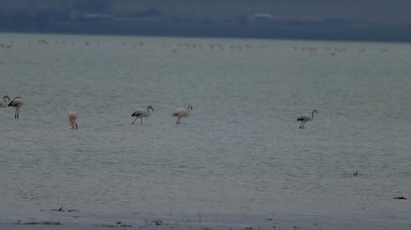 632667070 1216075347303019 3070307194338057575 N