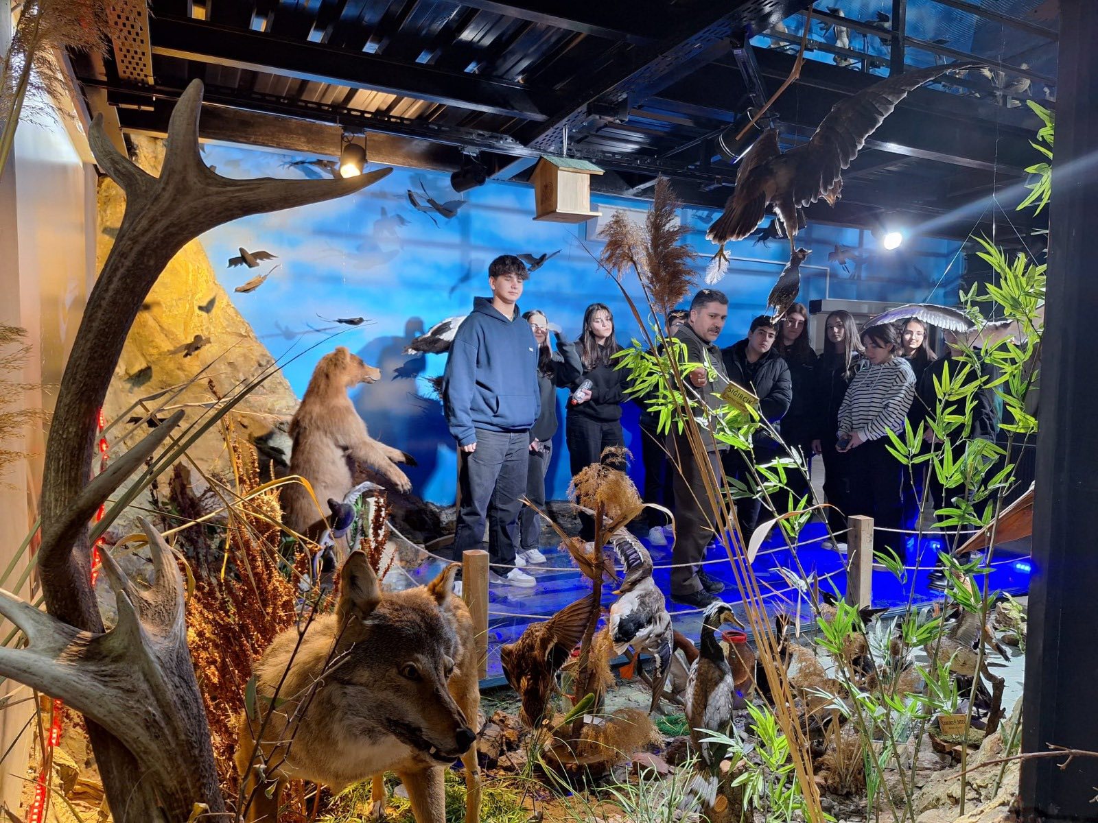 634408420 1216972740546613 79426404128881277 N