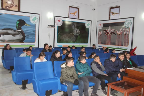 634913035 1220132376897316 3381822108215155834 N