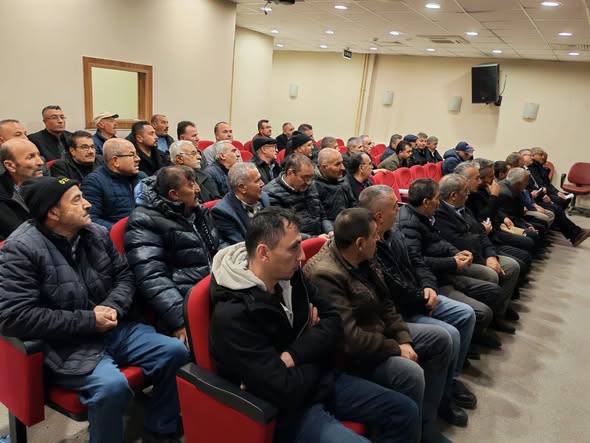 636771990 915988334239264 7046849971294742508 N