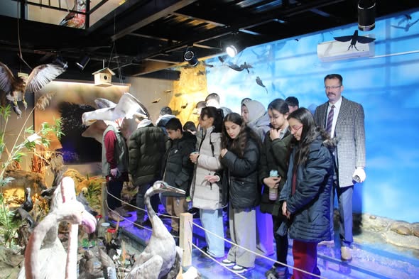 636984488 1218461000397787 2430428794840573431 N