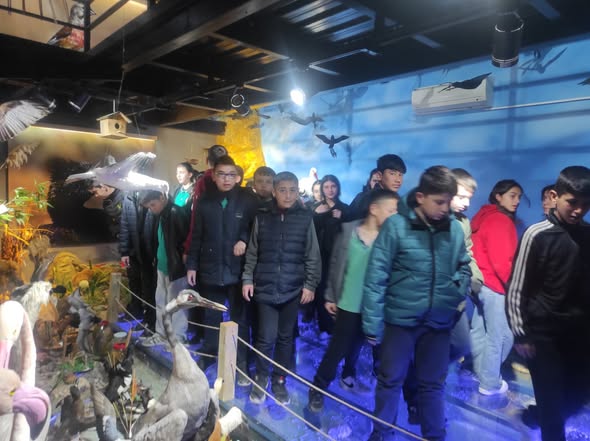 638451645 1220132403563980 8968444508181653149 N