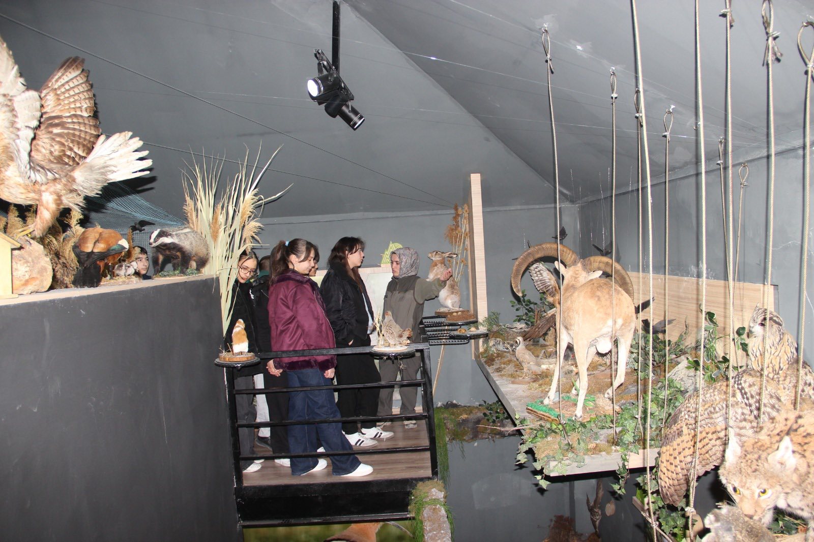 638629211 1223481436562410 656256780440227441 N