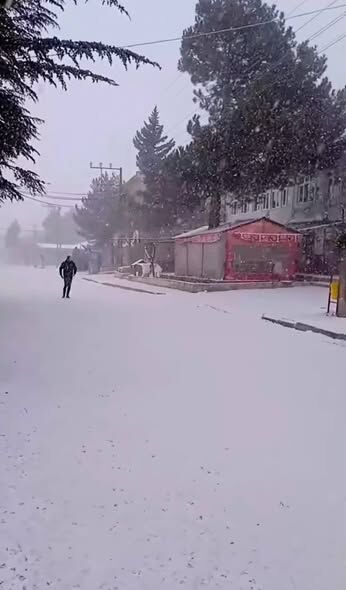 641280892 4198218130440331 8264334782994929252 N