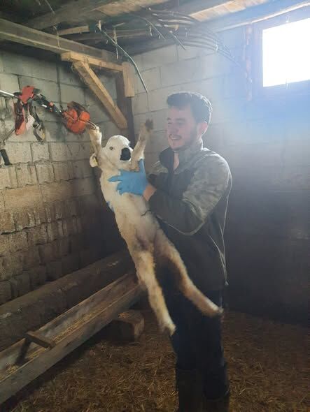 641295118 919281610576603 7844882103610113345 N