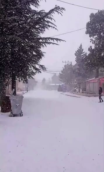 641296155 4198218200440324 6349711659482658857 N