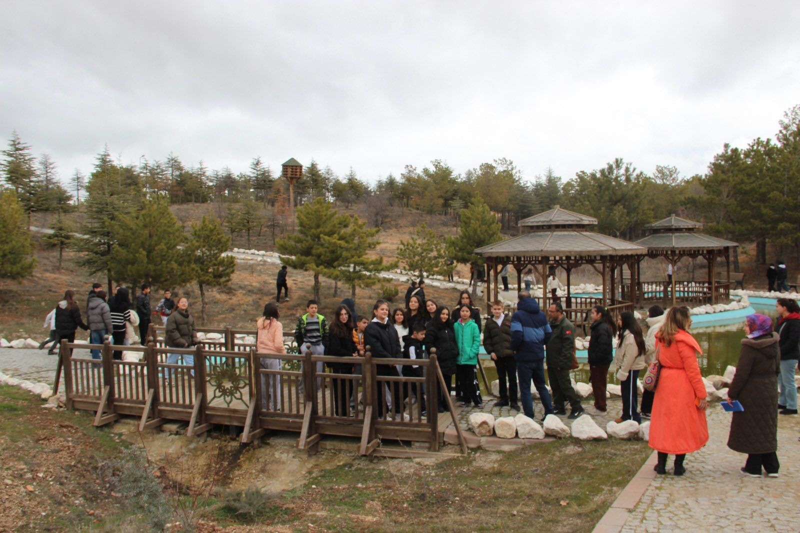 641521838 1225990572978163 8071023655980902728 N