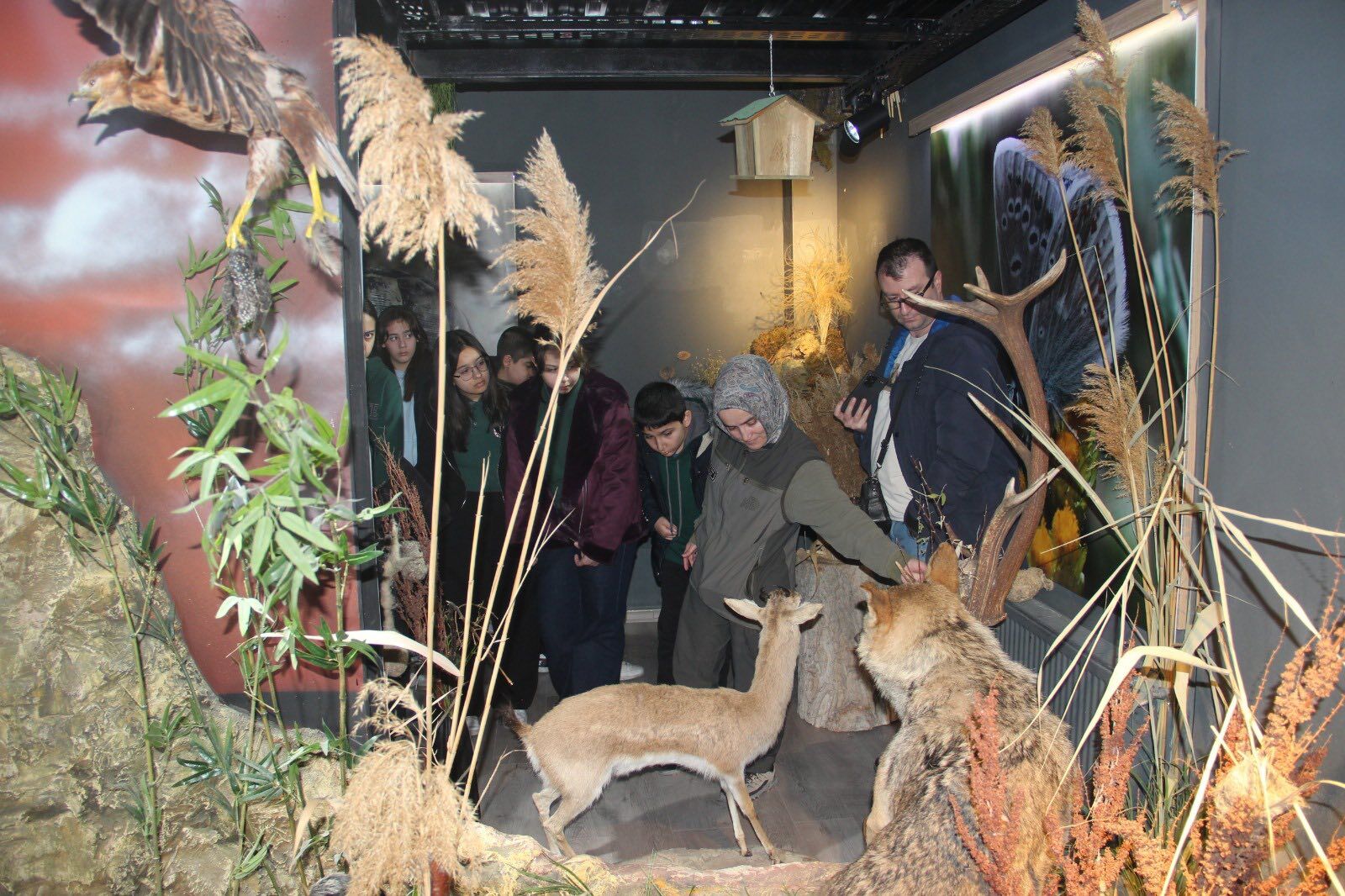 641566227 1223481473229073 8888176466958499428 N