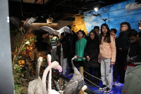 642240710 1225990636311490 5735027906469607863 N