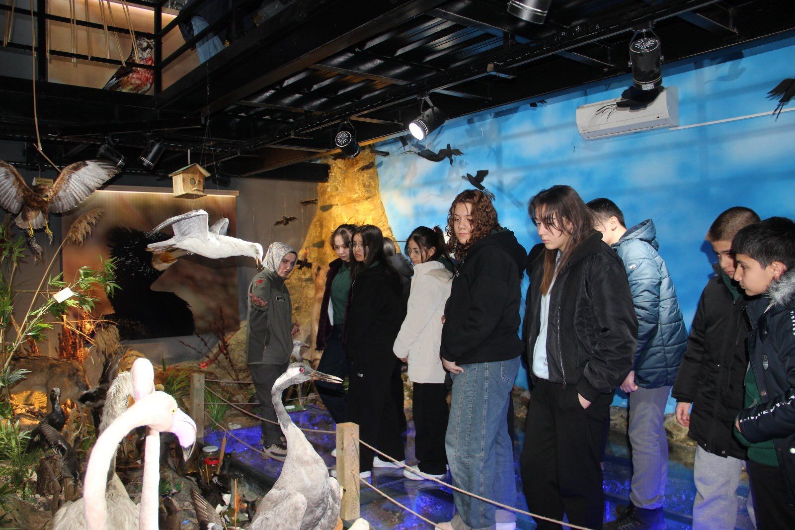 642824031 1223481429895744 4084662876455238557 N