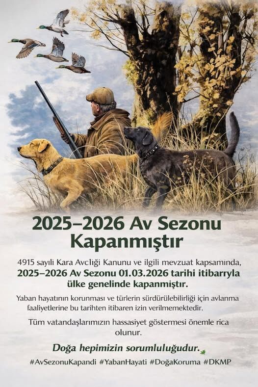 628828209 1228473712729849 823347313318553662 N