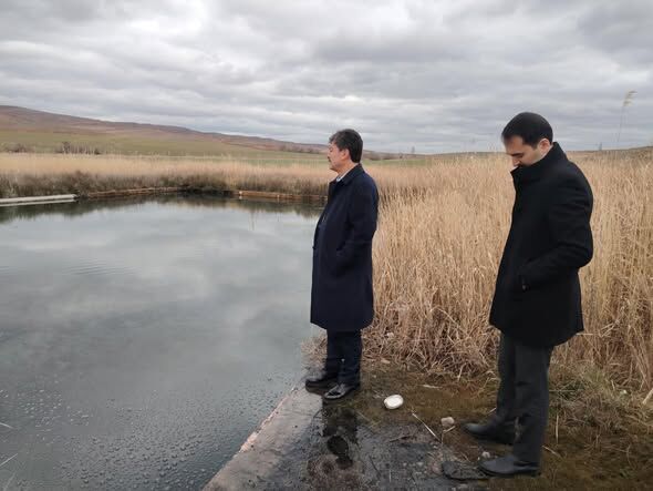 641809581 18316564603255336 4726667653273654762 N