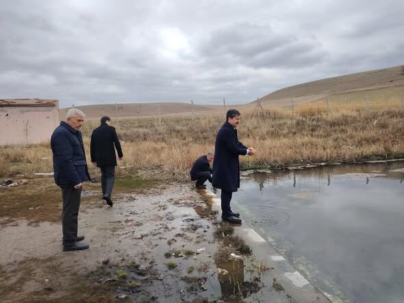 642980156 18316564600255336 4314157004662341405 N