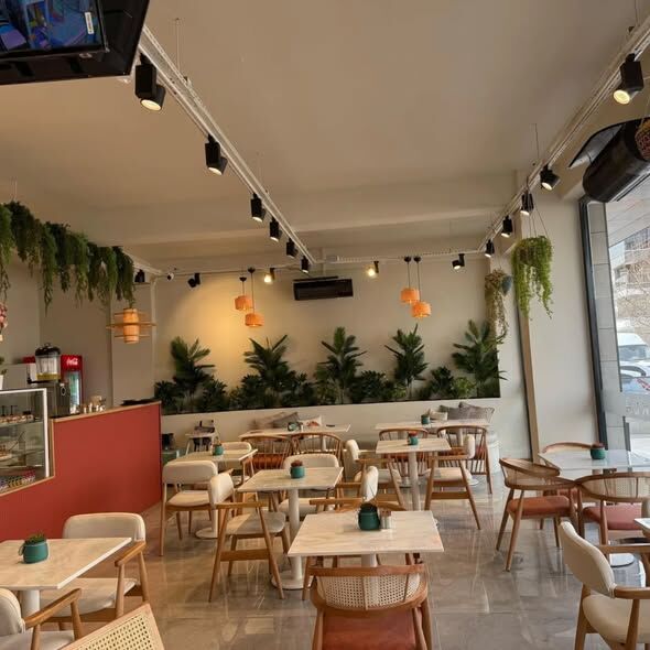 645868273 18150544696455106 1325340169689922689 N