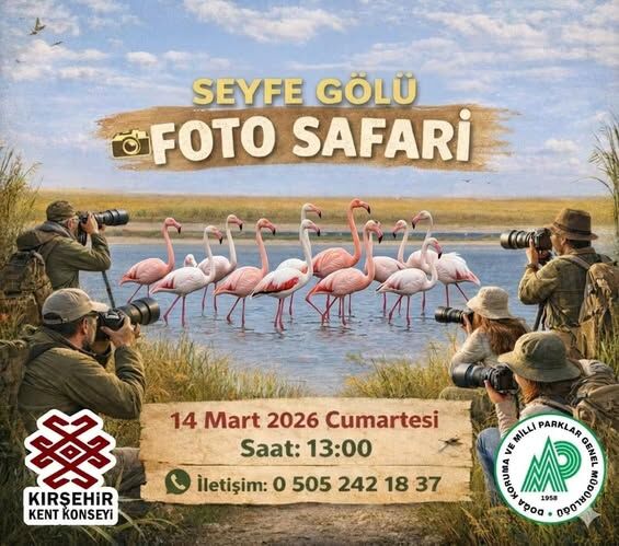 649278625 1236272498616637 8390355075983874418 N