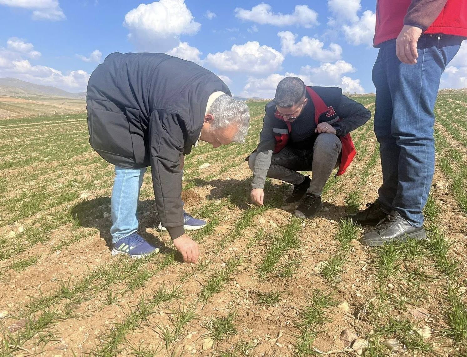 653501504 936021492235948 9173827605909871469 N