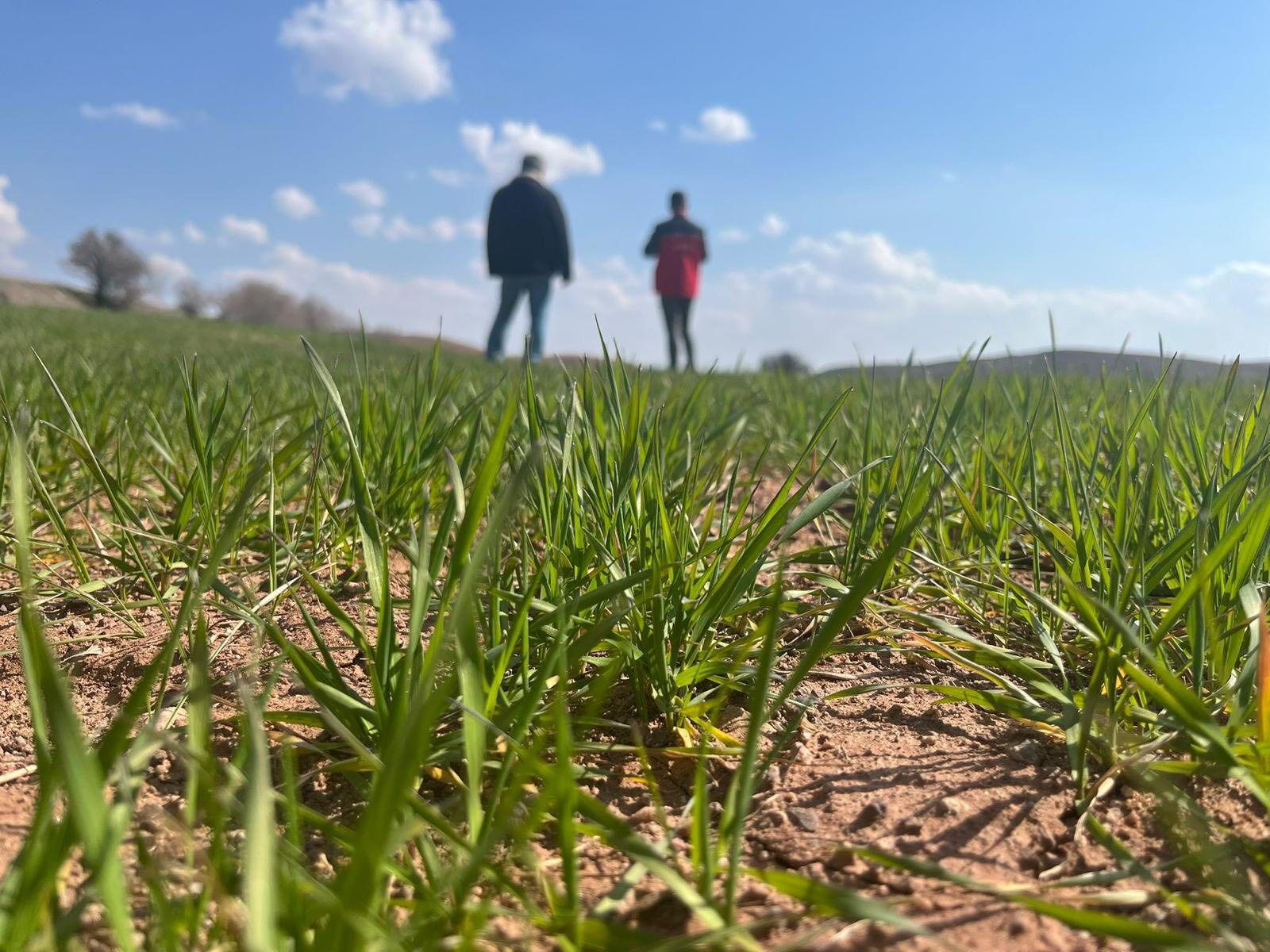 653706481 936021475569283 223411978320840687 N