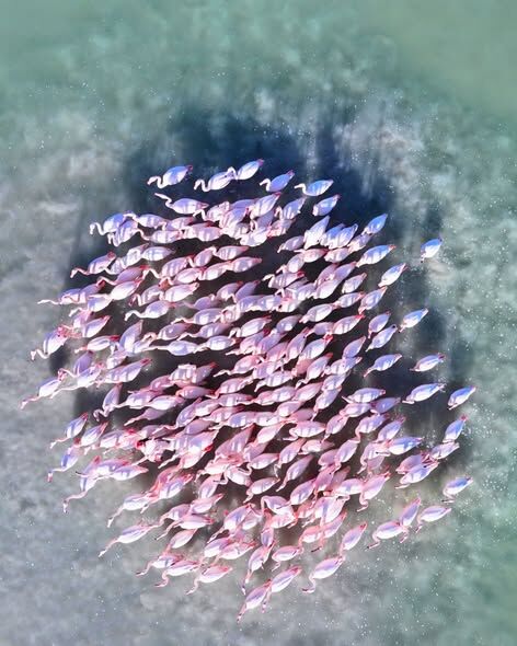 654433405 1380128964159033 1029819165271385459 N