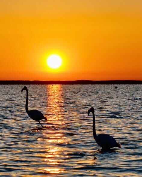 655505616 1380128634159066 5385973501936790839 N