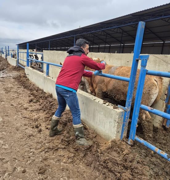 656154256 941849604986470 3192699242832183961 N