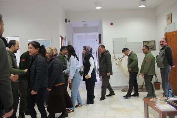 656155124 1244148827829004 3639565805259246072 N