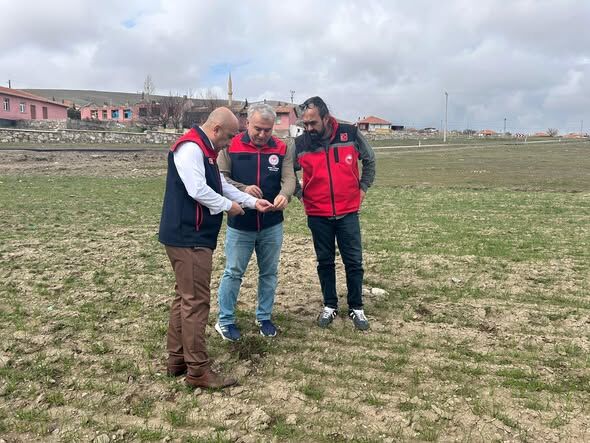 656815680 942742518230512 8009263416642838979 N