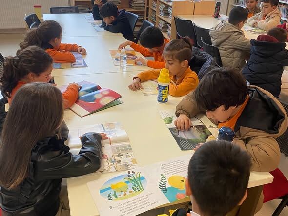 656841580 18367522333207723 4609851874114888348 N