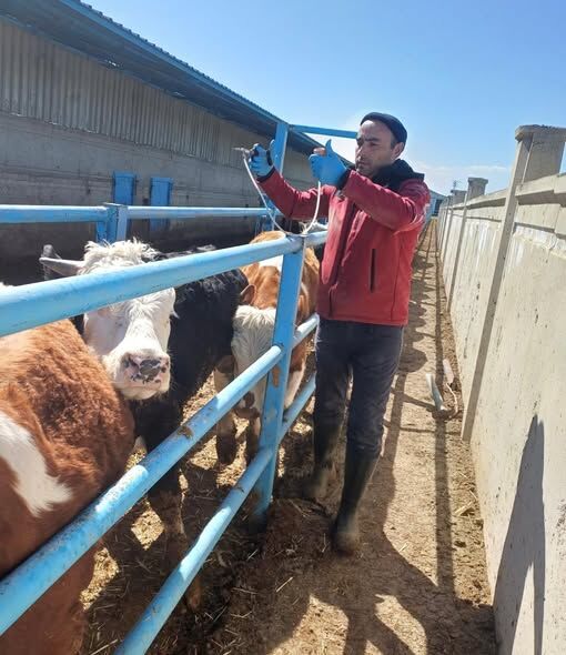 657405260 941849628319801 1859445890490803552 N